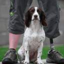 BRAVEHOUND Logo