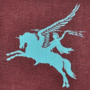 The Parachute Regimental Association Logo