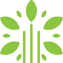 Open Minds Counselling Services Logo