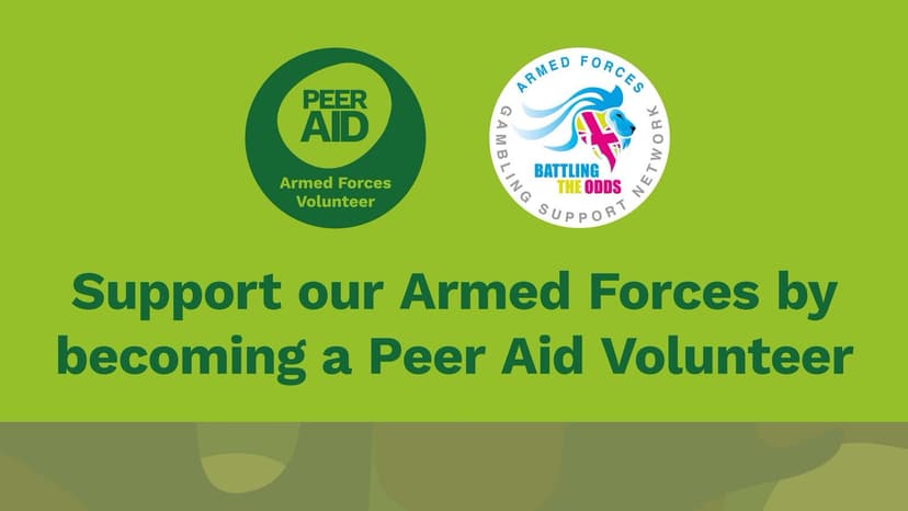 Volunteers Wanted! cover image