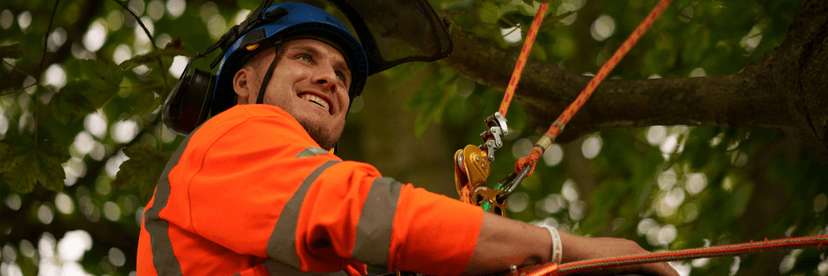 Walking With The Wounded cover image
