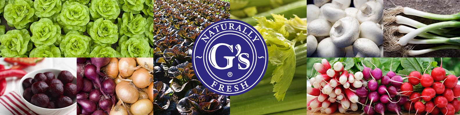 G's Fresh decorative header image